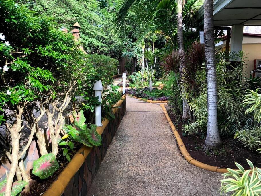 Alona Park - 3 Bedroom Apartment- Alex And Jesa Unit Apartment