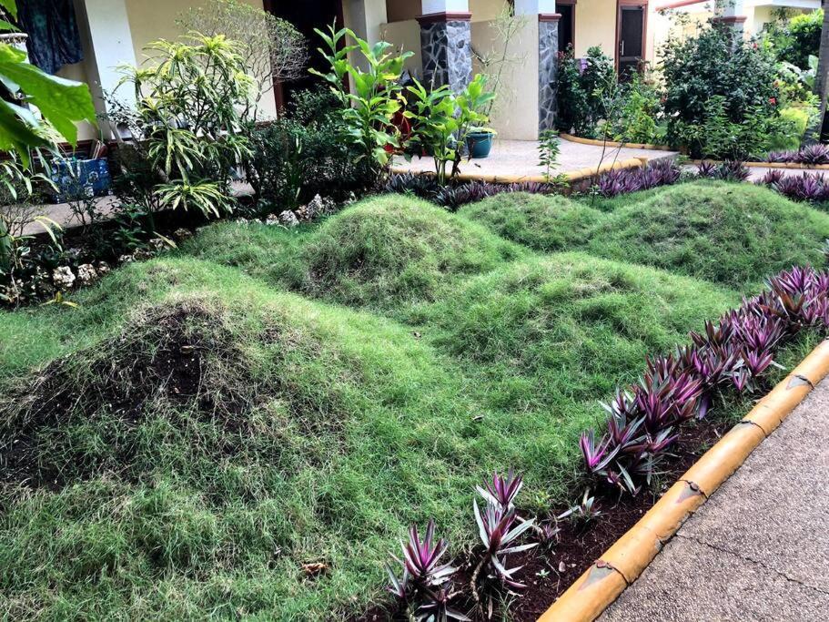 Alona Park - 3 Bedroom Apartment- Alex And Jesa Unit * Panglao