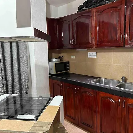 Alona Park Residence - 3 Bedroom Apartment- Alex And Jesa Unit Panglao Exterior photo